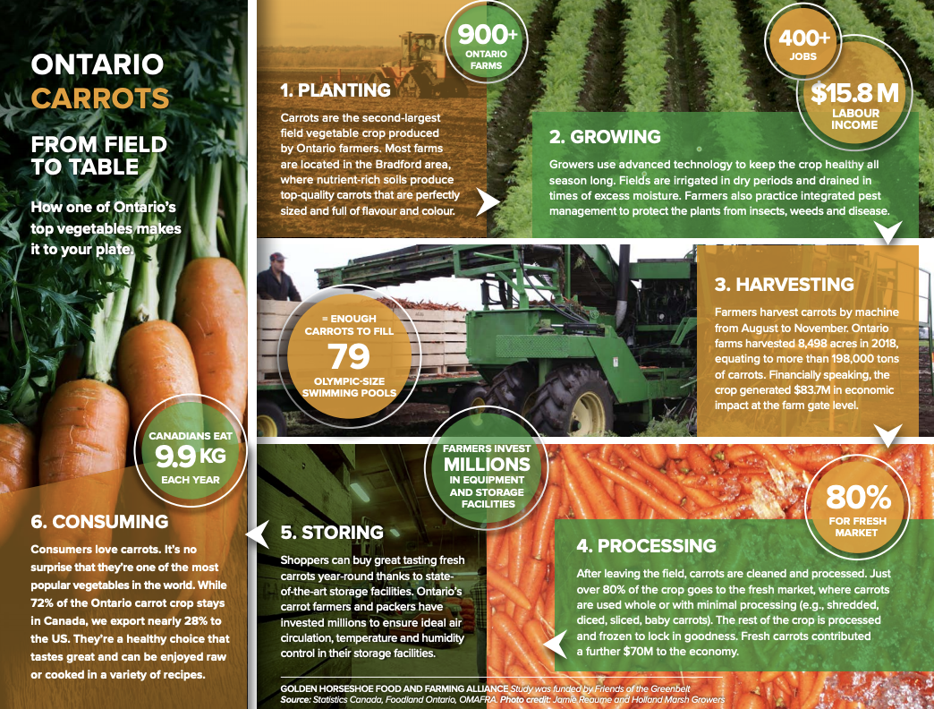Ontario Carrot Value Chain Analysis Study Food and FarmingFood and