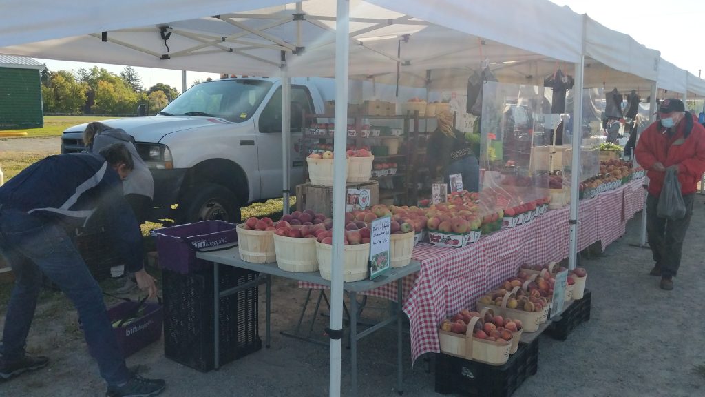Milton Farmers’ Market is ready for 2021 Food and FarmingFood and Farming